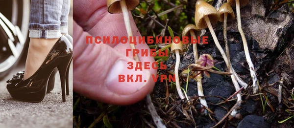 эйфоретик Магас