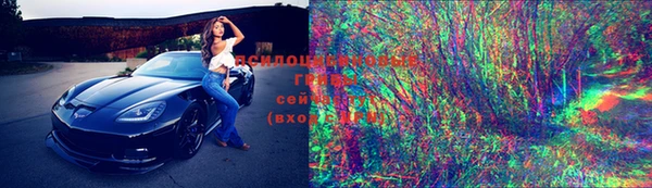 эйфоретик Магас