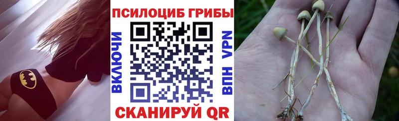 Псилоцибиновые грибы мицелий  Ульяновск 