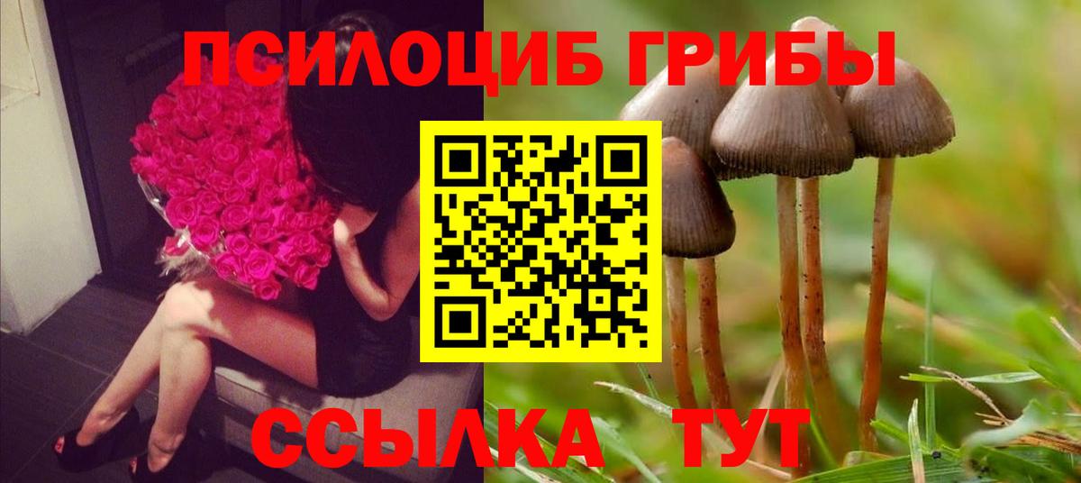Псилоцибиновые грибы Magic Shrooms Ульяновск