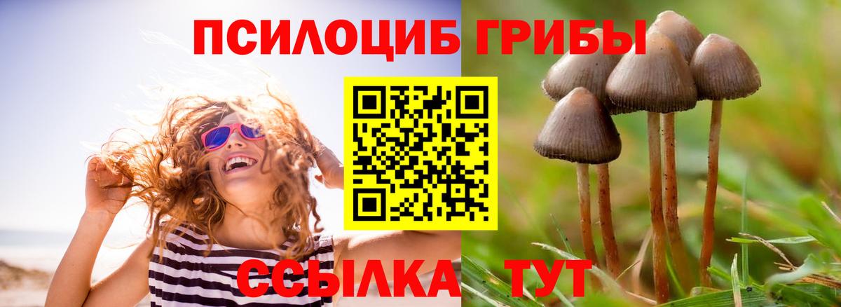 Ульяновск  Псилоцибиновые грибы Cubensis  Псилоцибиновые грибы прущие грибы  Вход с VPN 